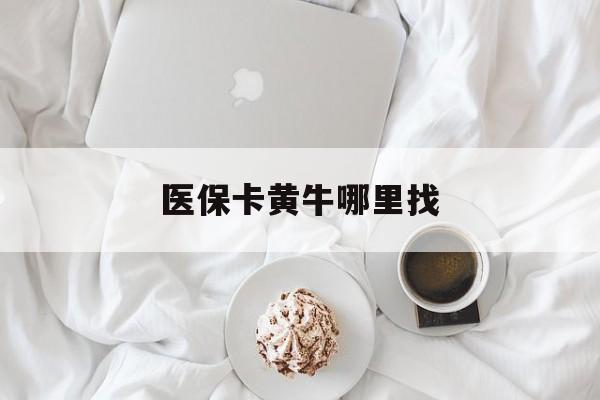 锦州最新医保卡黄牛哪里找方法分析(最方便真实的锦州医保卡的事情去哪里咨询方法)